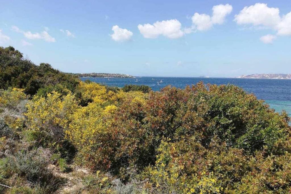 Casa Di Lu' - Bilocale Con Giardino - Porto Pollo Lägenhet Exteriör bild