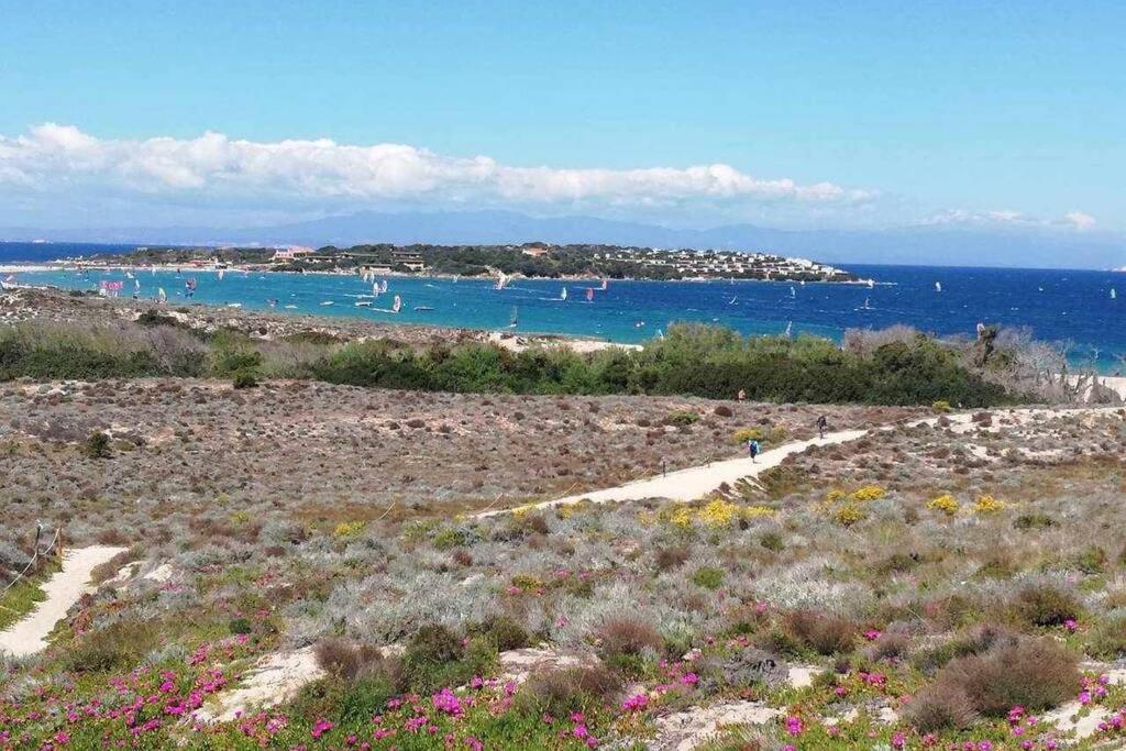 Casa Di Lu' - Bilocale Con Giardino - Porto Pollo Lägenhet Exteriör bild