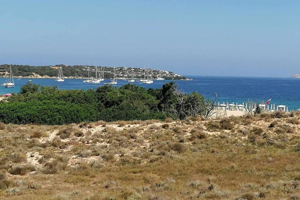 Casa Di Lu' - Bilocale Con Giardino - Porto Pollo Lägenhet Exteriör bild